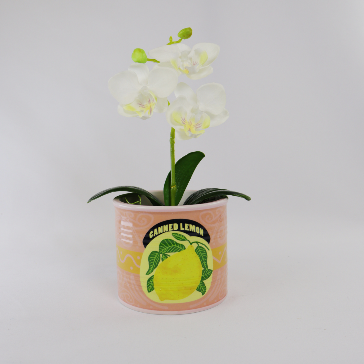 Canned Good Planter