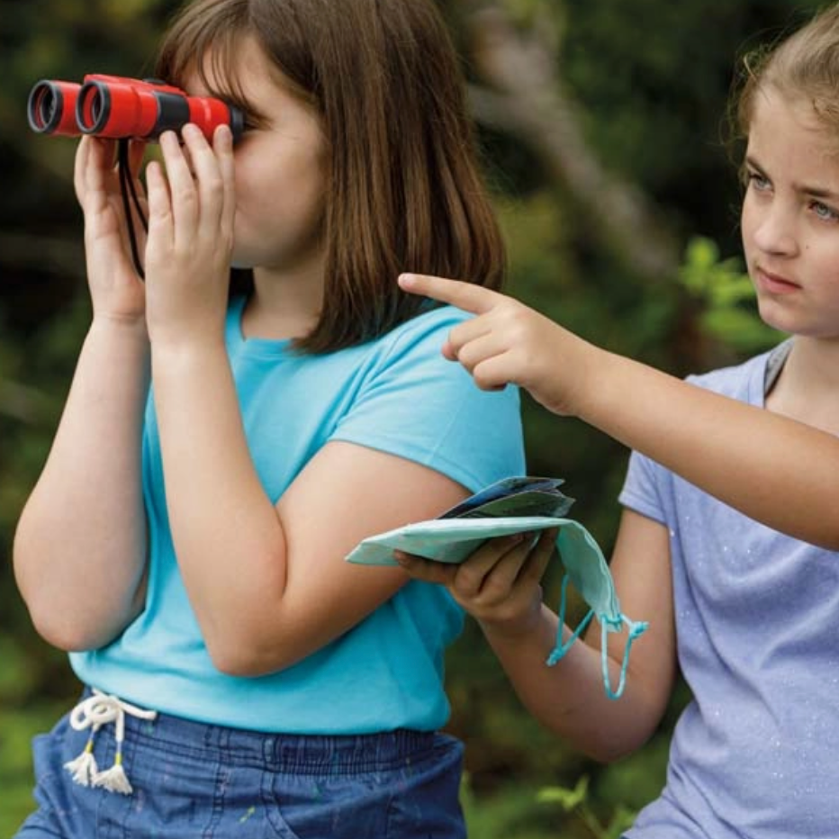Beetle &amp; Bee Little Birder Set