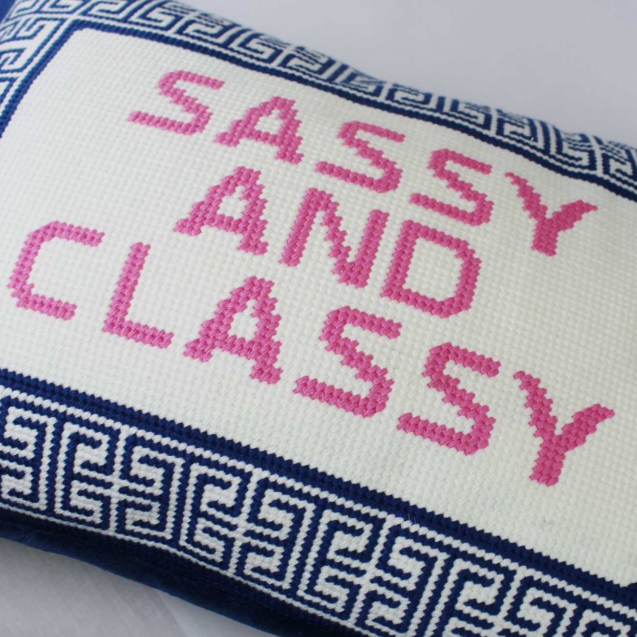 Sassy and Classy Pillow