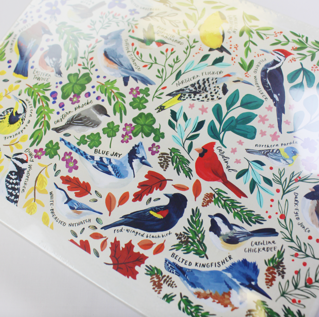 Feathered Friends Puzzle