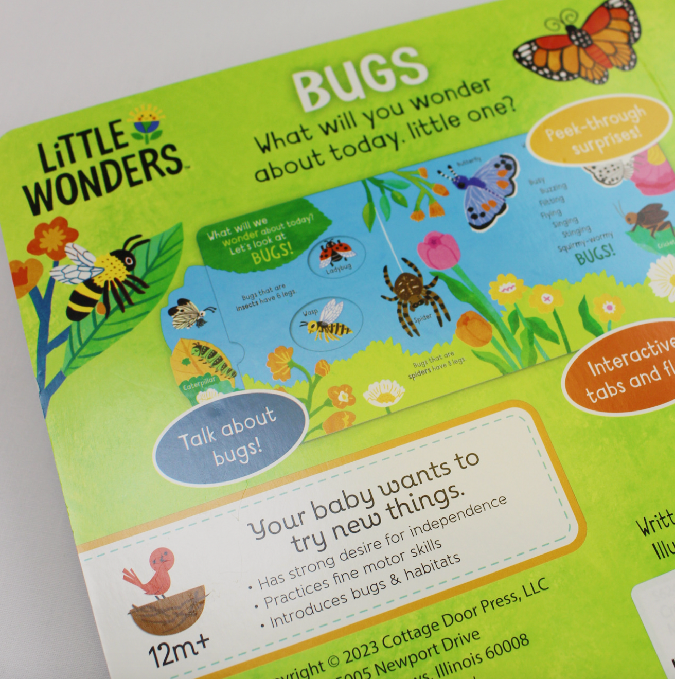 Little Wonders - Bugs Board Book