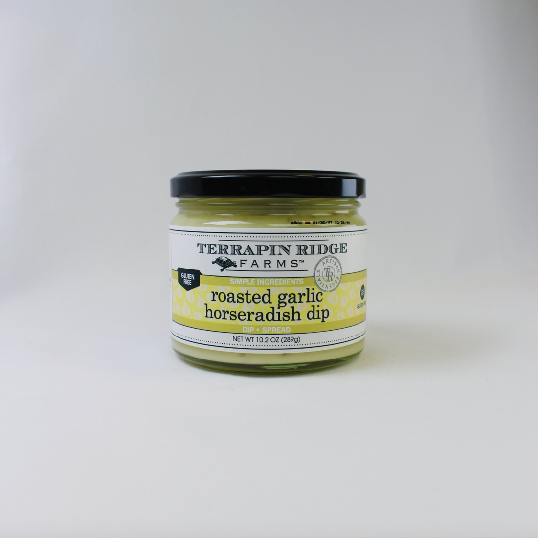 Roasted Garlic Horseradish Dip
