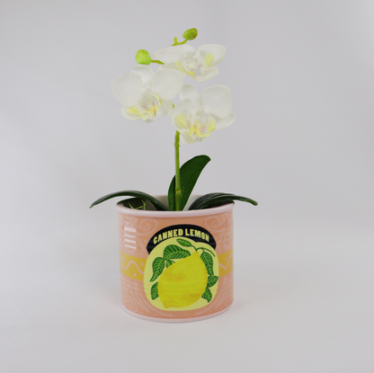 Canned Good Planter